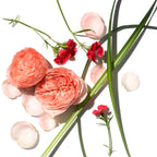 Rose Rejuvenating Body Trio