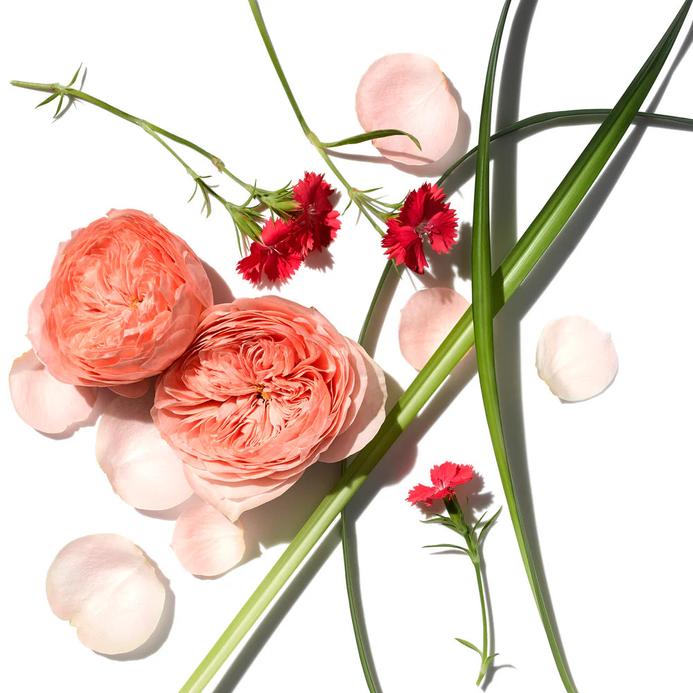 Rose Rejuvenating Body Trio