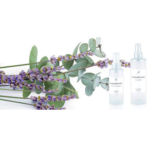 
            
                Load image into Gallery viewer, European Spa Source Lavender Eucalyptus Pillow Mist
            
        